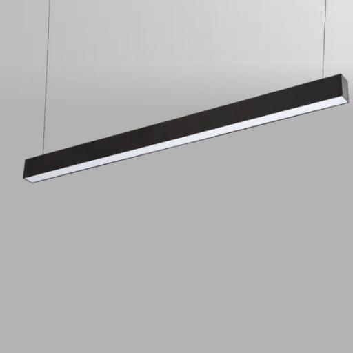 SARKIT LİNEER